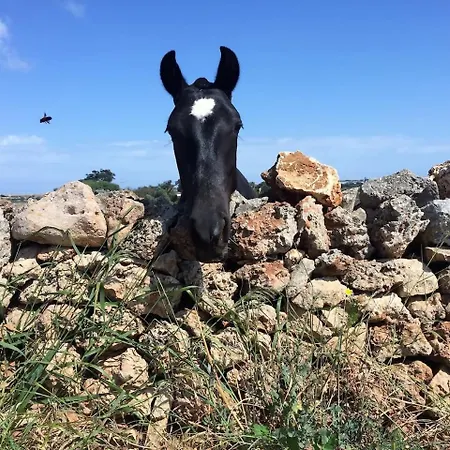 Lantställe Cerca De Ciutadella Con Piscina *