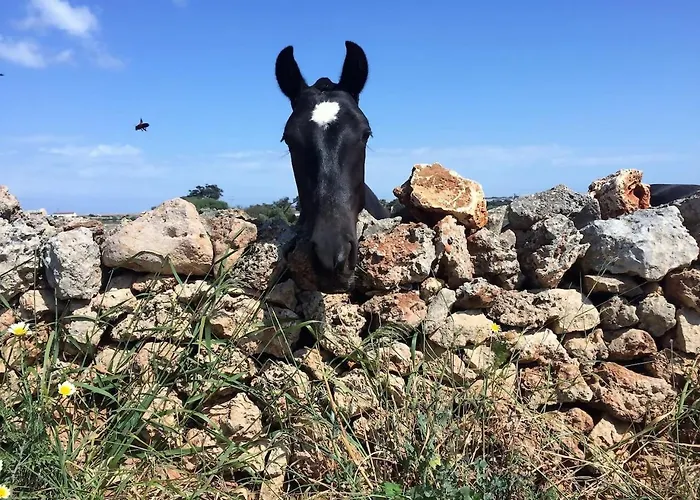 Venkovský dům Cerca De Ciutadella Con Piscina *