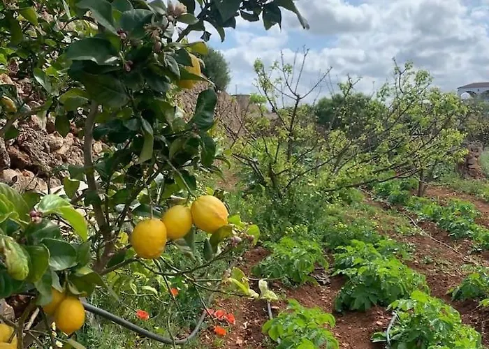 Cerca De Ciutadella Con Piscina Venkovský dům *