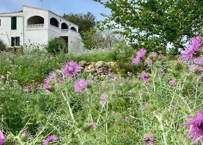 Cerca De Ciutadella Con Piscina Venkovský dům Troquerias