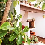 Cerca De Ciutadella Con Piscina Troquerias